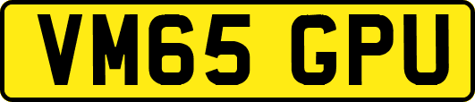 VM65GPU