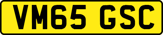 VM65GSC
