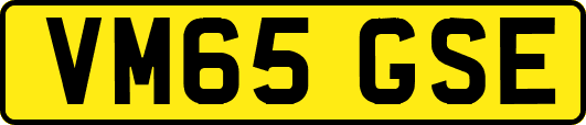 VM65GSE