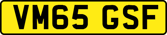 VM65GSF