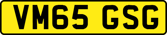 VM65GSG