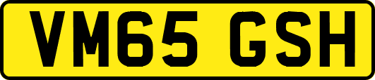 VM65GSH