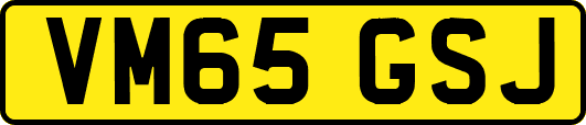 VM65GSJ