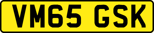 VM65GSK