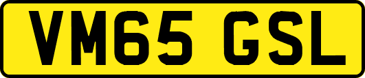 VM65GSL
