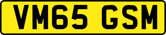 VM65GSM