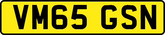 VM65GSN