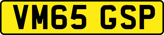 VM65GSP