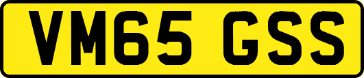 VM65GSS