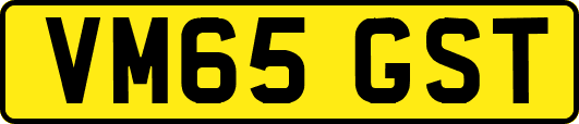 VM65GST
