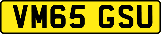VM65GSU
