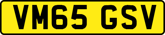 VM65GSV