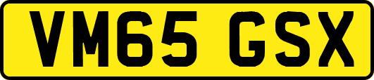 VM65GSX