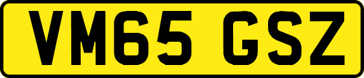 VM65GSZ