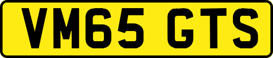 VM65GTS
