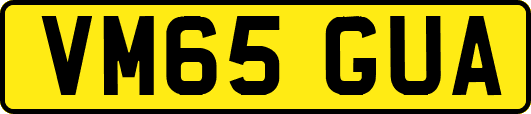 VM65GUA