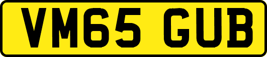 VM65GUB