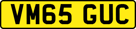 VM65GUC