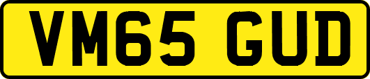 VM65GUD
