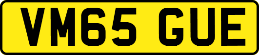 VM65GUE