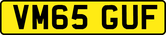 VM65GUF