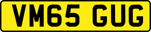 VM65GUG