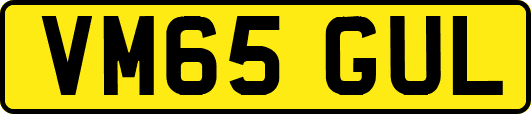 VM65GUL