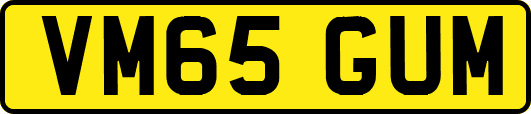 VM65GUM