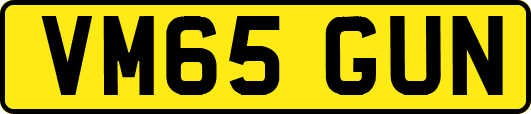 VM65GUN