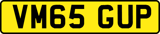 VM65GUP
