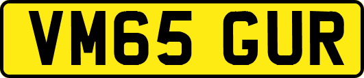 VM65GUR