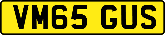 VM65GUS