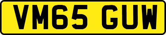 VM65GUW