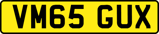 VM65GUX