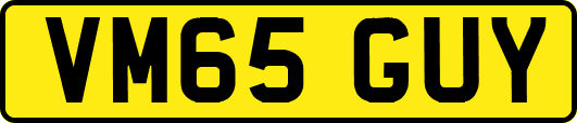 VM65GUY