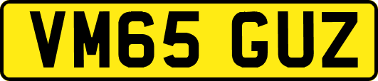 VM65GUZ