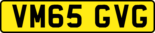 VM65GVG
