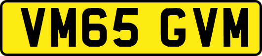 VM65GVM