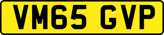 VM65GVP
