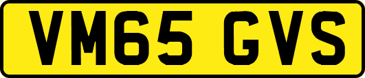 VM65GVS