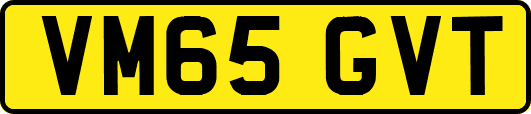 VM65GVT