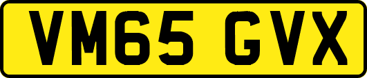 VM65GVX