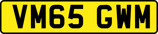 VM65GWM
