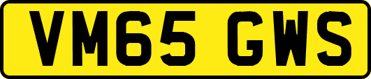 VM65GWS