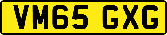 VM65GXG