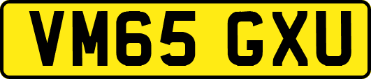 VM65GXU