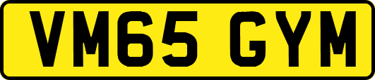 VM65GYM