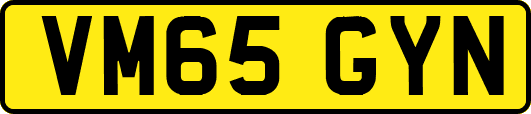 VM65GYN