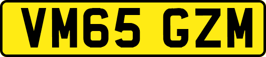 VM65GZM