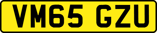 VM65GZU